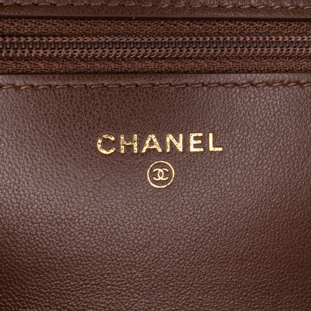 Chanel Quilted Lambskin 19 Wallet on Chain - 5