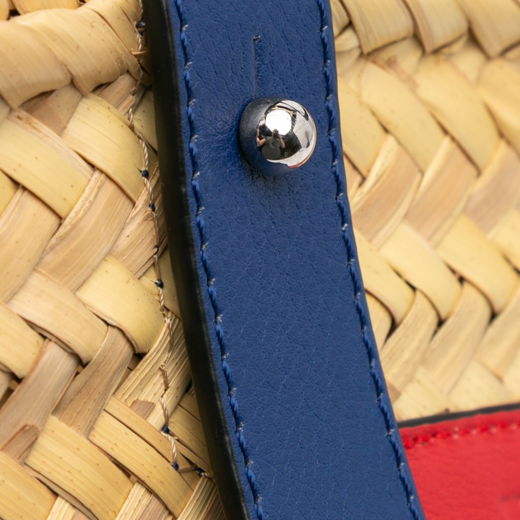 Loewe Small Raffia Basket Tote - 4