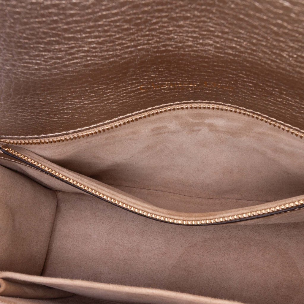 Dior Medium Metallic Grained Calfskin Diorama Flap - 5