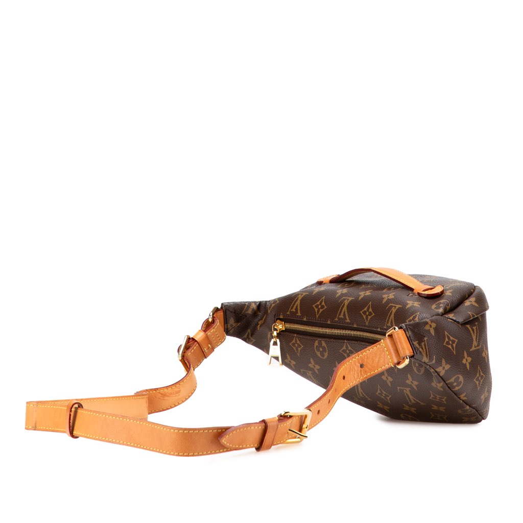 Louis Vuitton Monogram Bumbag - Back view