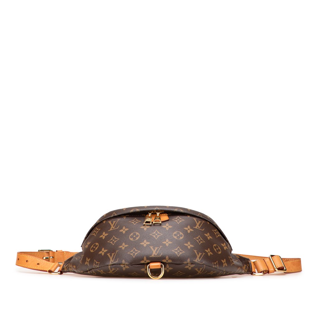 Louis Vuitton Monogram Bumbag - Image 6