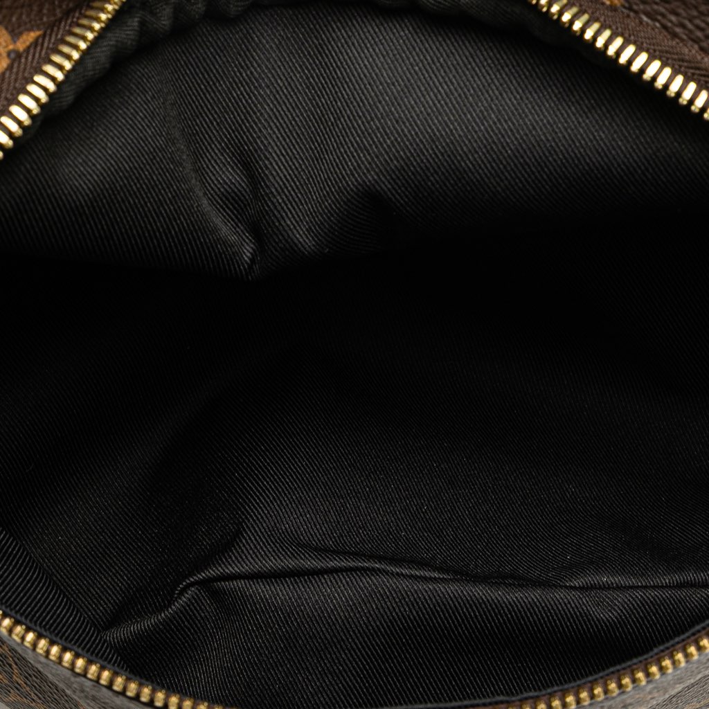 Louis Vuitton Monogram Bumbag - 4