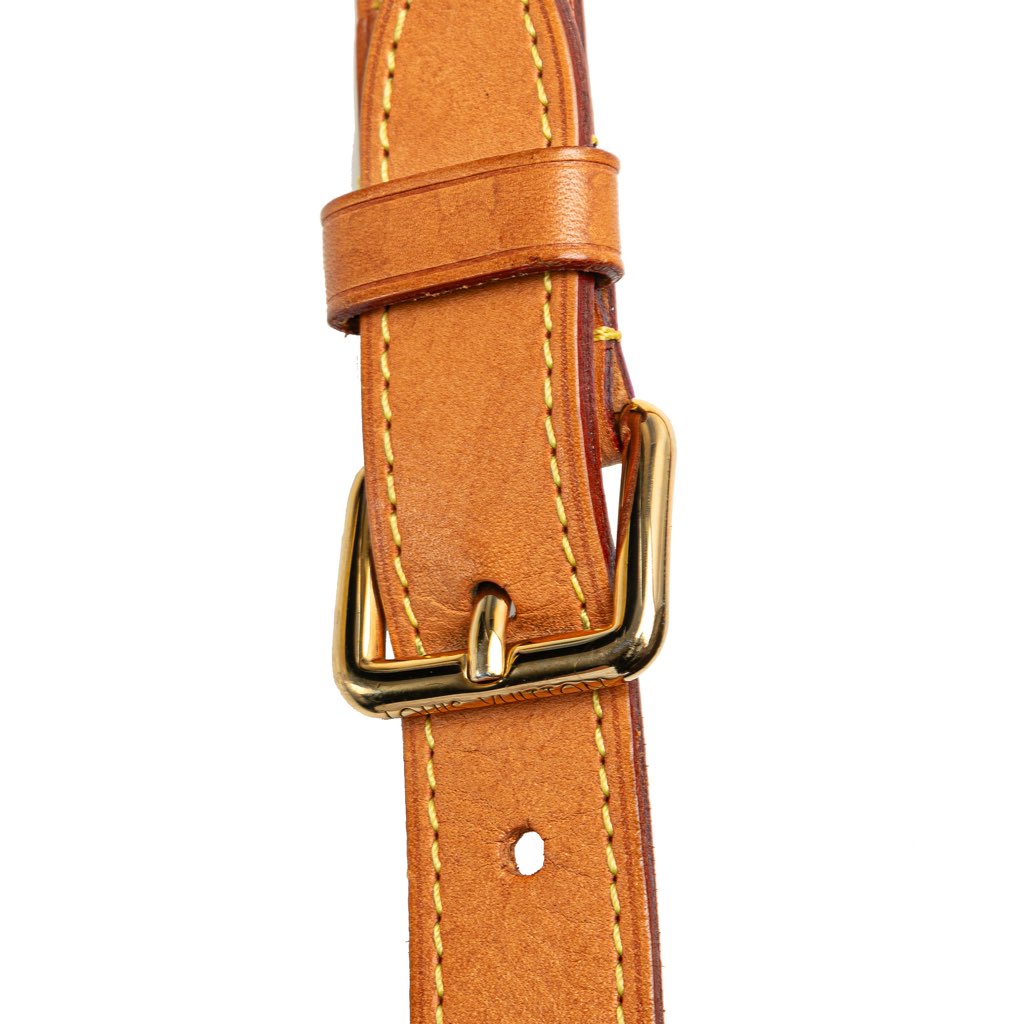 Louis Vuitton Monogram Bumbag - Image 12