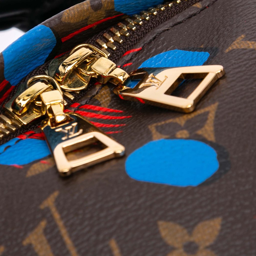 Louis Vuitton Monogram Jungle Dots Palm Springs PM - Image 10