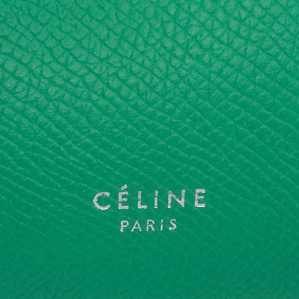 Celine Micro Grained Calfskin Belt Bag - Side view