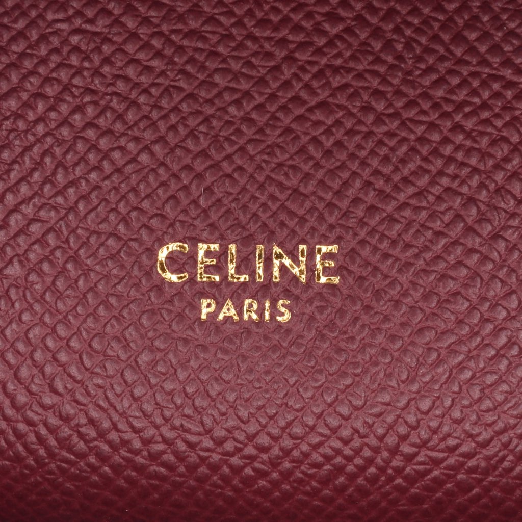 Celine Pico Grained Calfskin Belt Bag - 5