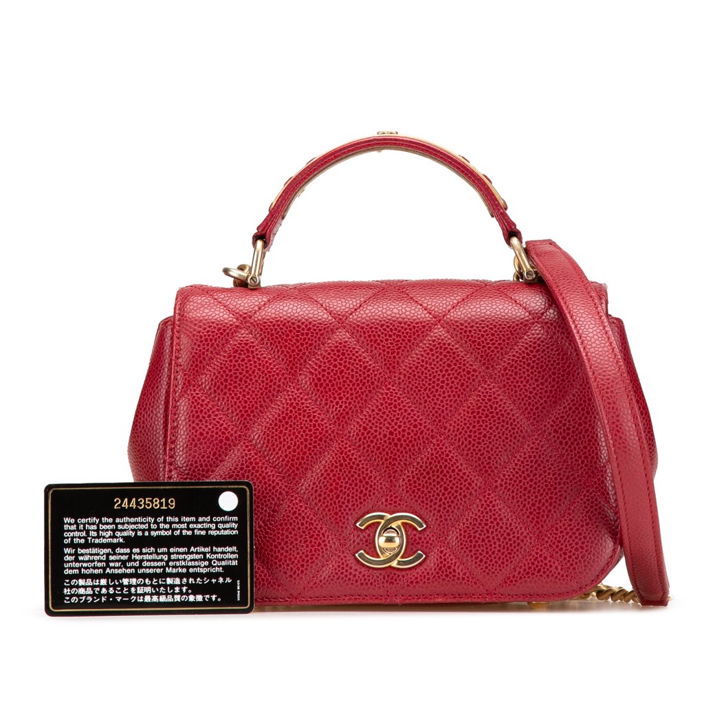 Chanel Mini Quilted Caviar Carry Around Flap - Image 14
