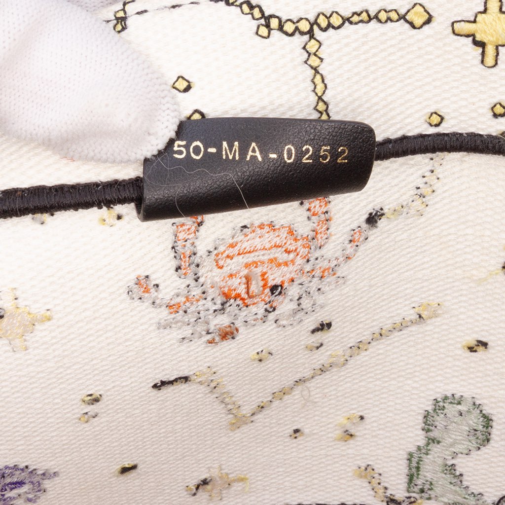 Dior Large Zodiac Pixel Zodiac Book Tote - Detail 1