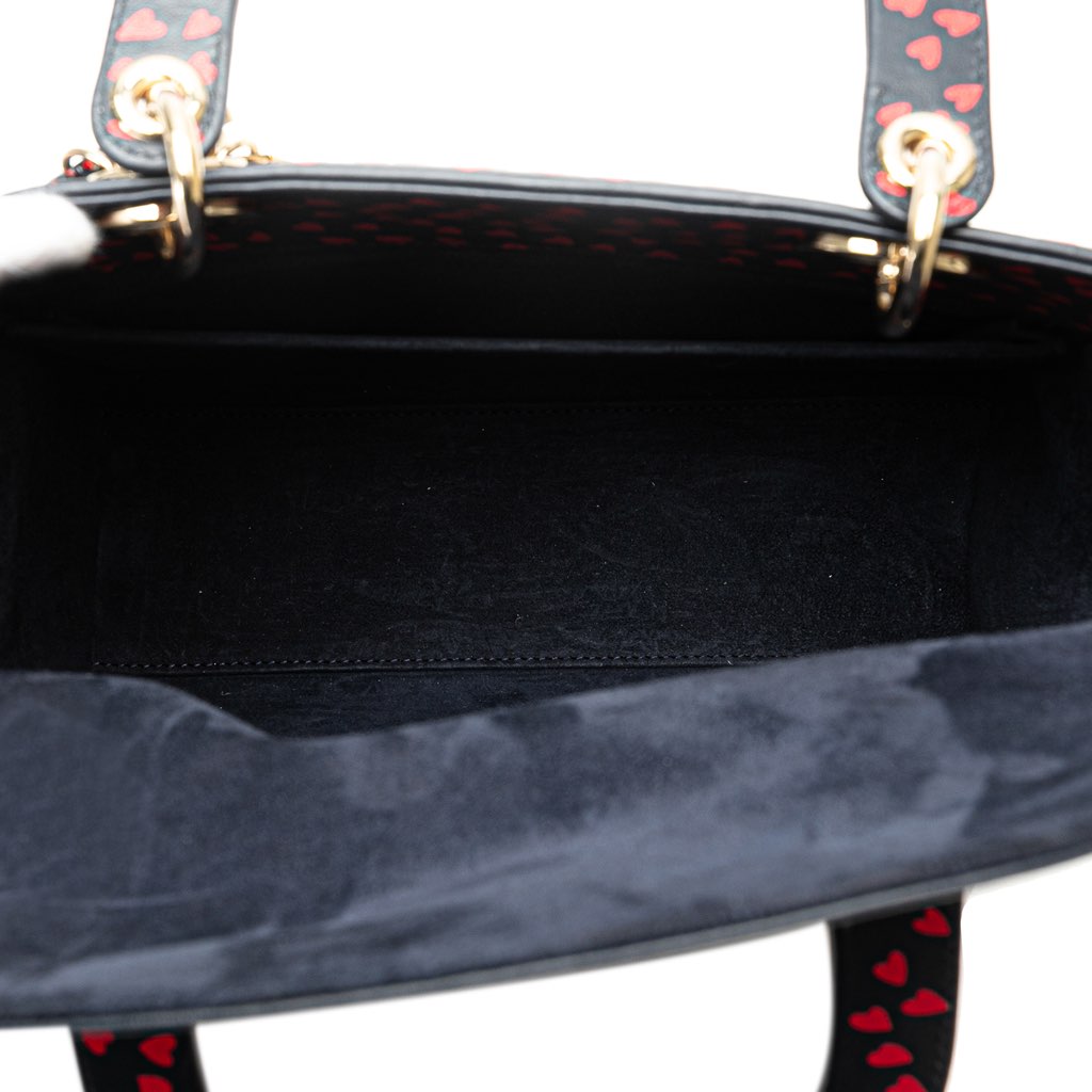 Dior Medium Calfskin I Love Paris Lady Dior - 4