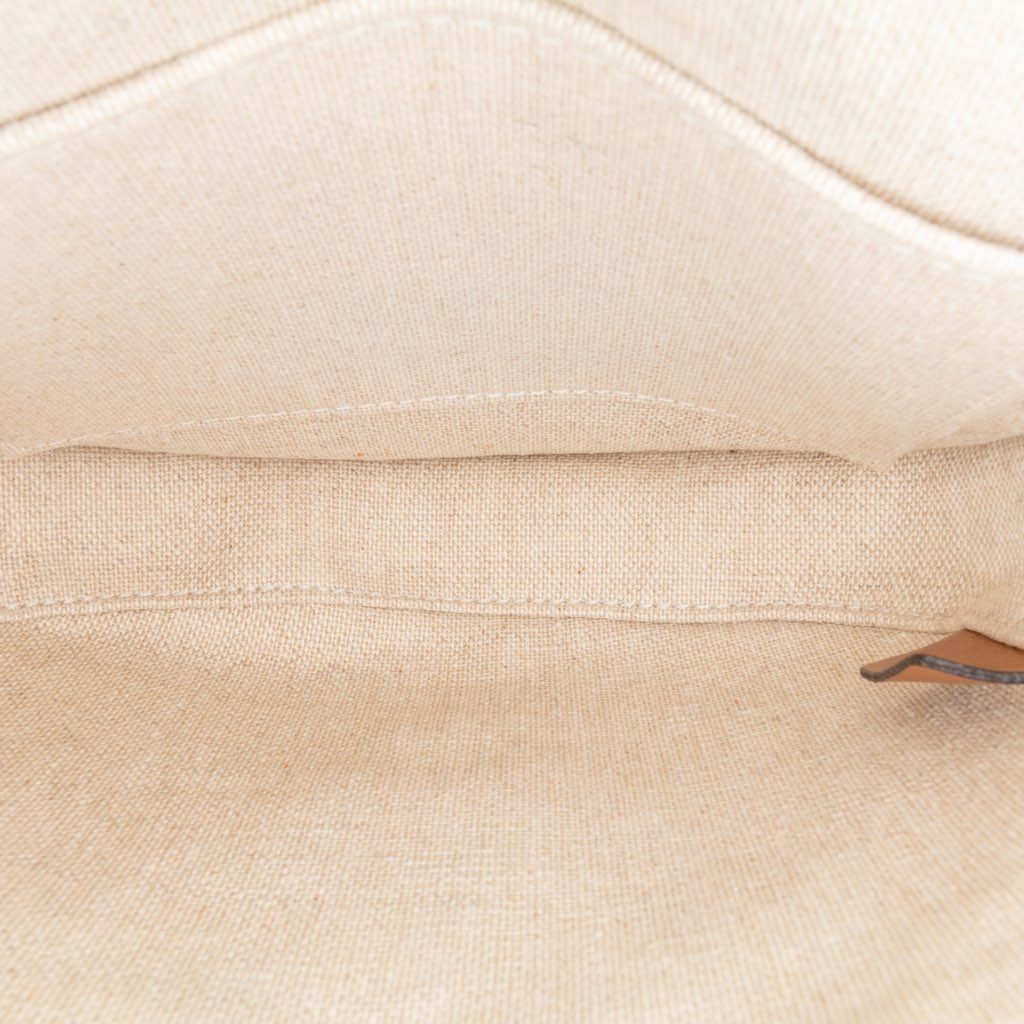 Celine Mini Triomphe Canvas and Calfskin Besace Crossbody - 4