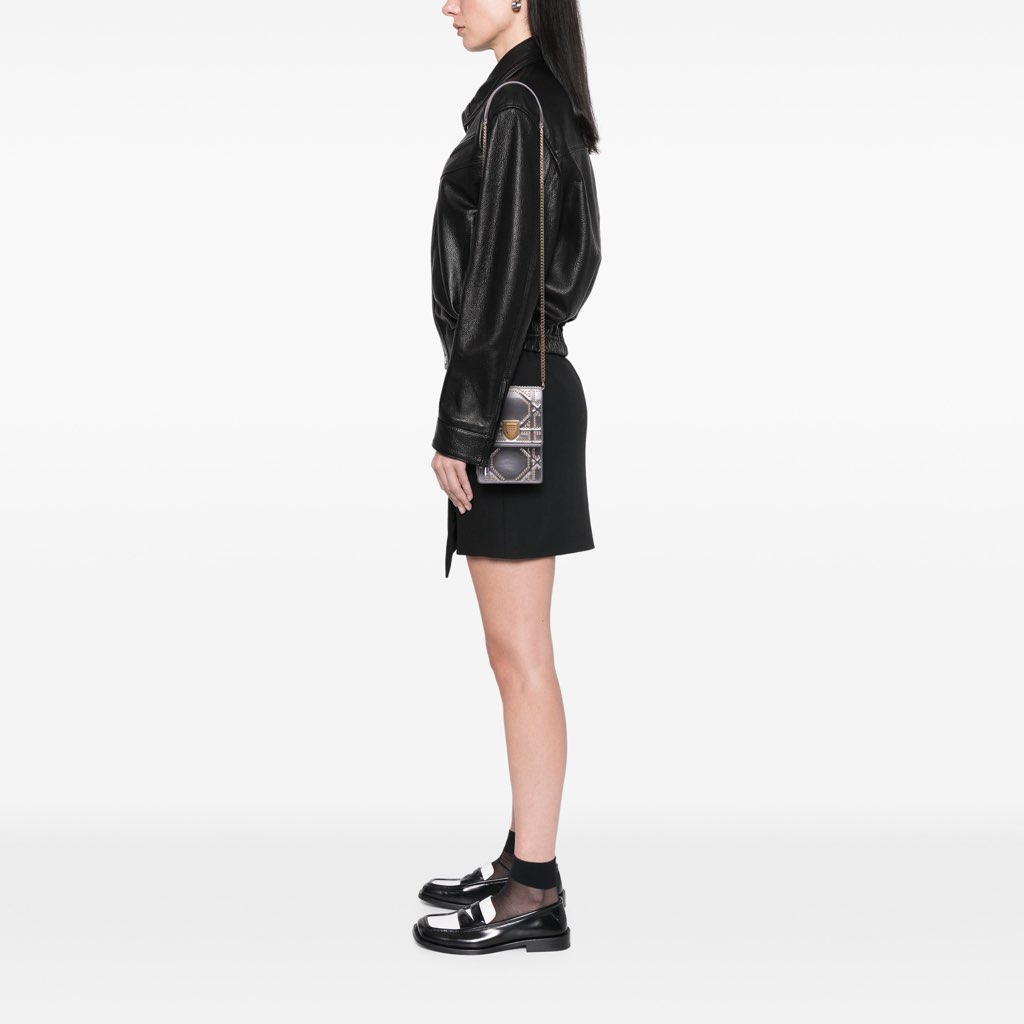 Dior Metallic Studded Calfskin Vertical Diorama - Image 13