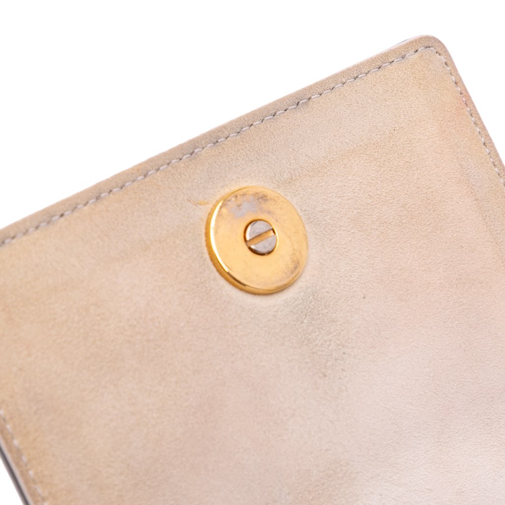 Dior Metallic Studded Calfskin Vertical Diorama - Detail 2