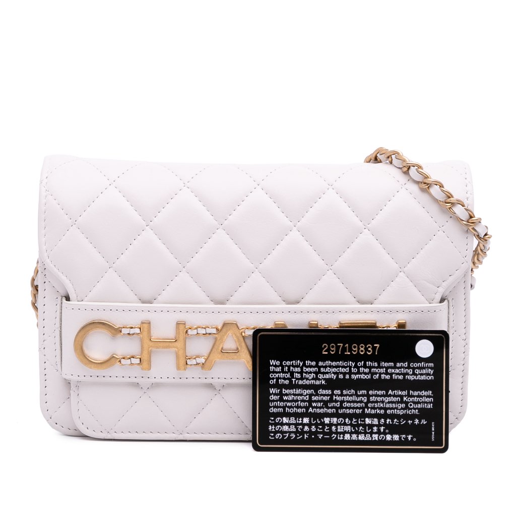 Chanel Medium Quilted Calfskin Enchained Flap - Image 14