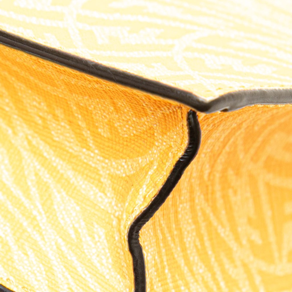 Fendi Sarah Coleman Coated Canvas FF Vertigo Phone Holder Crossbody - Image 11