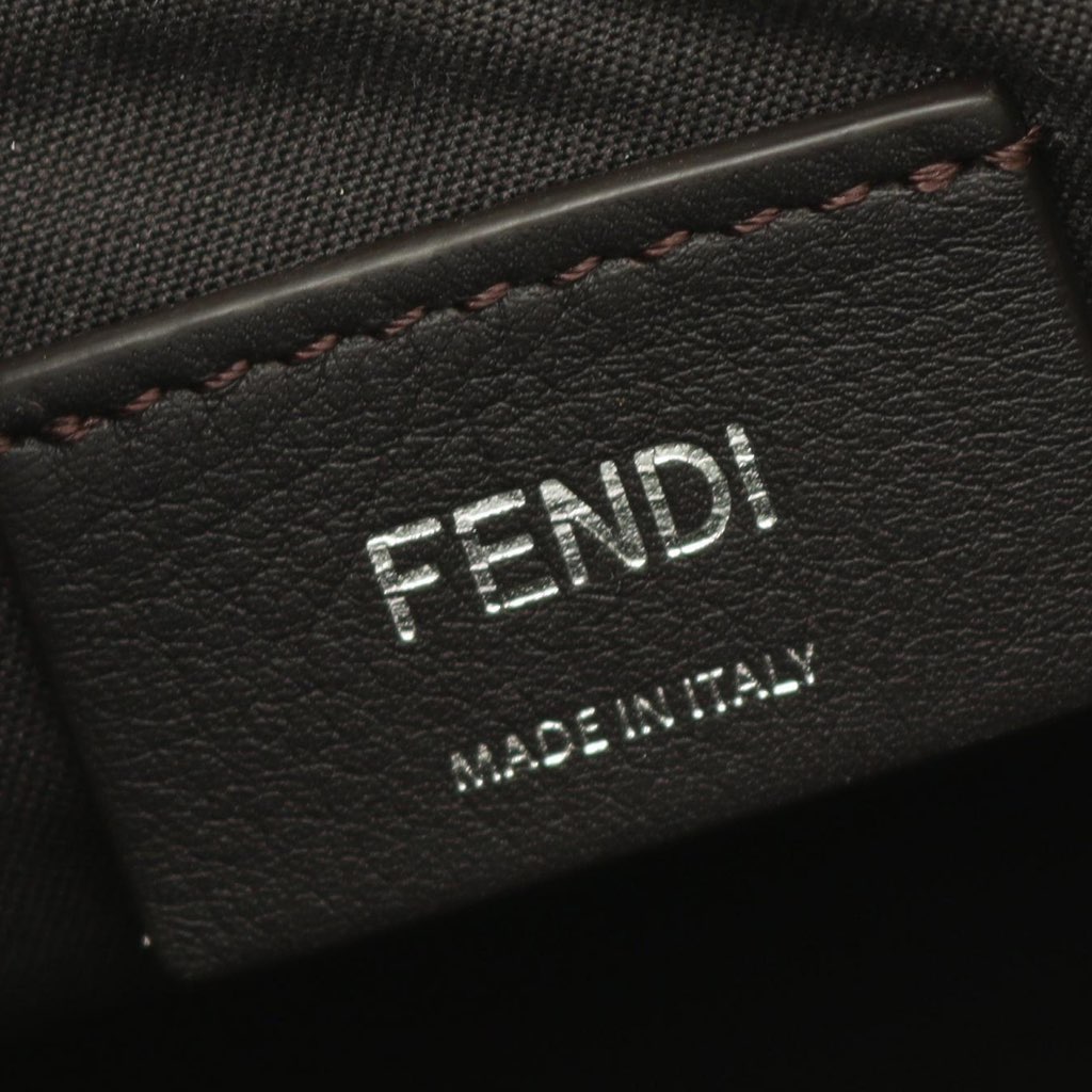 Fendi Small Vitello Grace Matte Fendigraphy Hobo - 4