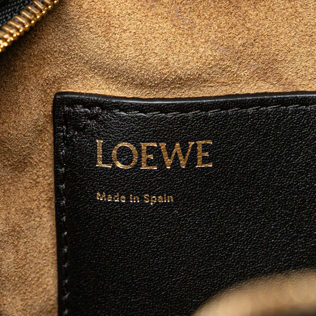 Loewe Calfskin Amazona 16 Square Bag - 5