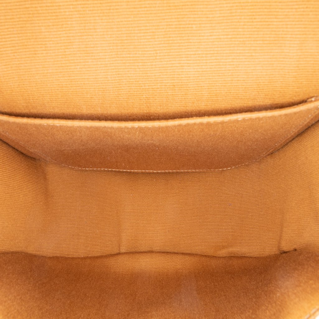 Celine Medium Triomphe Coated Canvas Folco Crossbody - 4