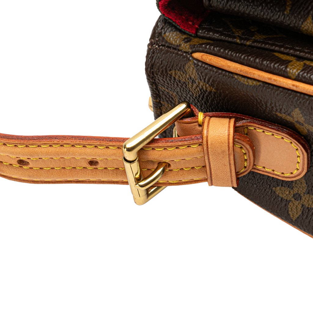 Louis Vuitton Monogram Viva Cite MM - Image 11