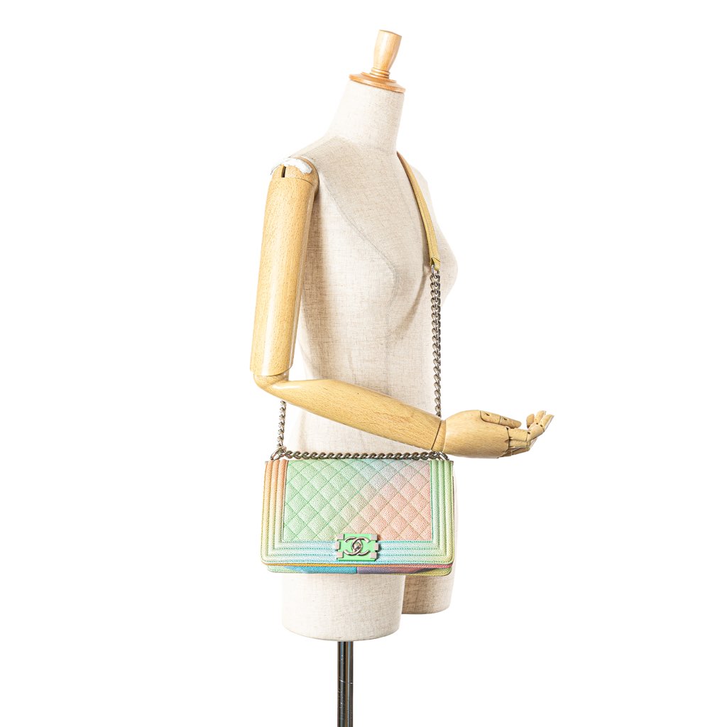 Chanel Old Medium Quilted Caviar Rainbow Boy Flap - Image 13