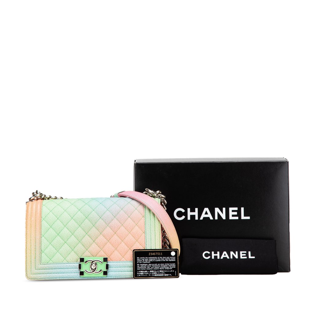 Chanel Old Medium Quilted Caviar Rainbow Boy Flap - Image 14