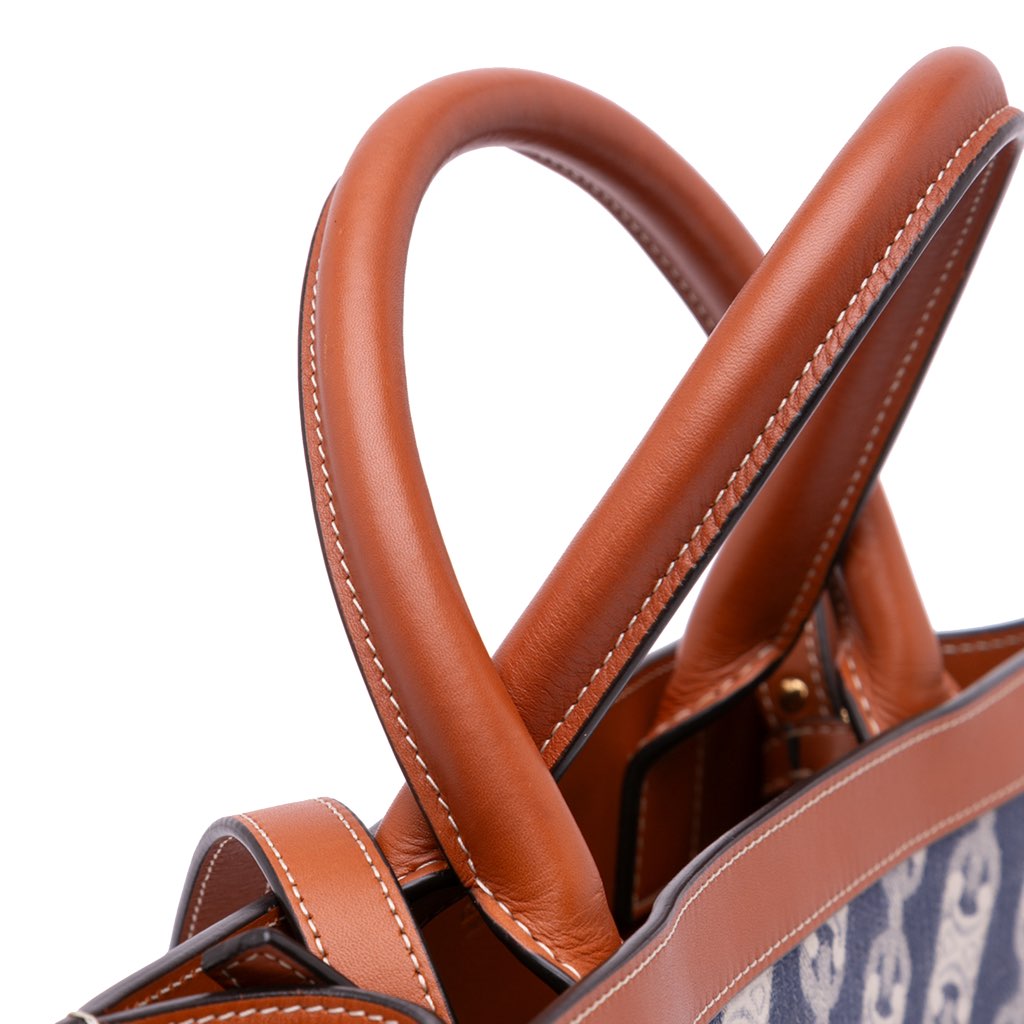 Celine Small Triomphe Canvas Maillon Vertical Cabas Satchel - Detail 2