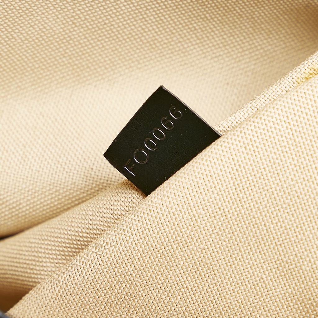 Louis Vuitton Grimaud Vail Blanket - Detail 2