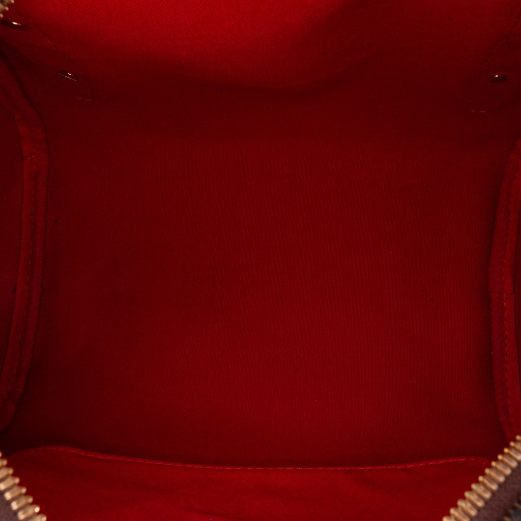 Louis Vuitton Damier Ebene Rivington PM - 4