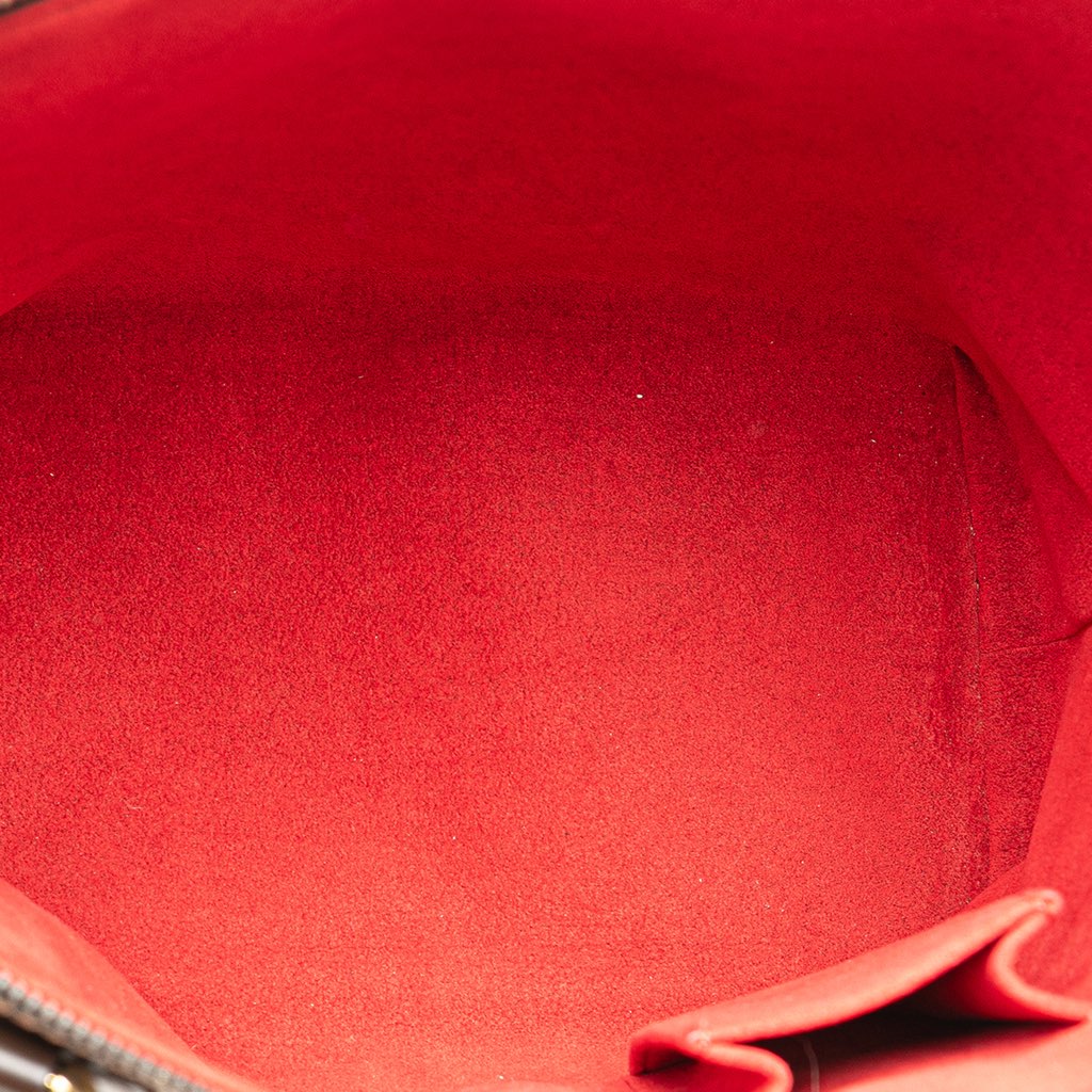 Louis Vuitton Damier Ebene Saleya PM - 4