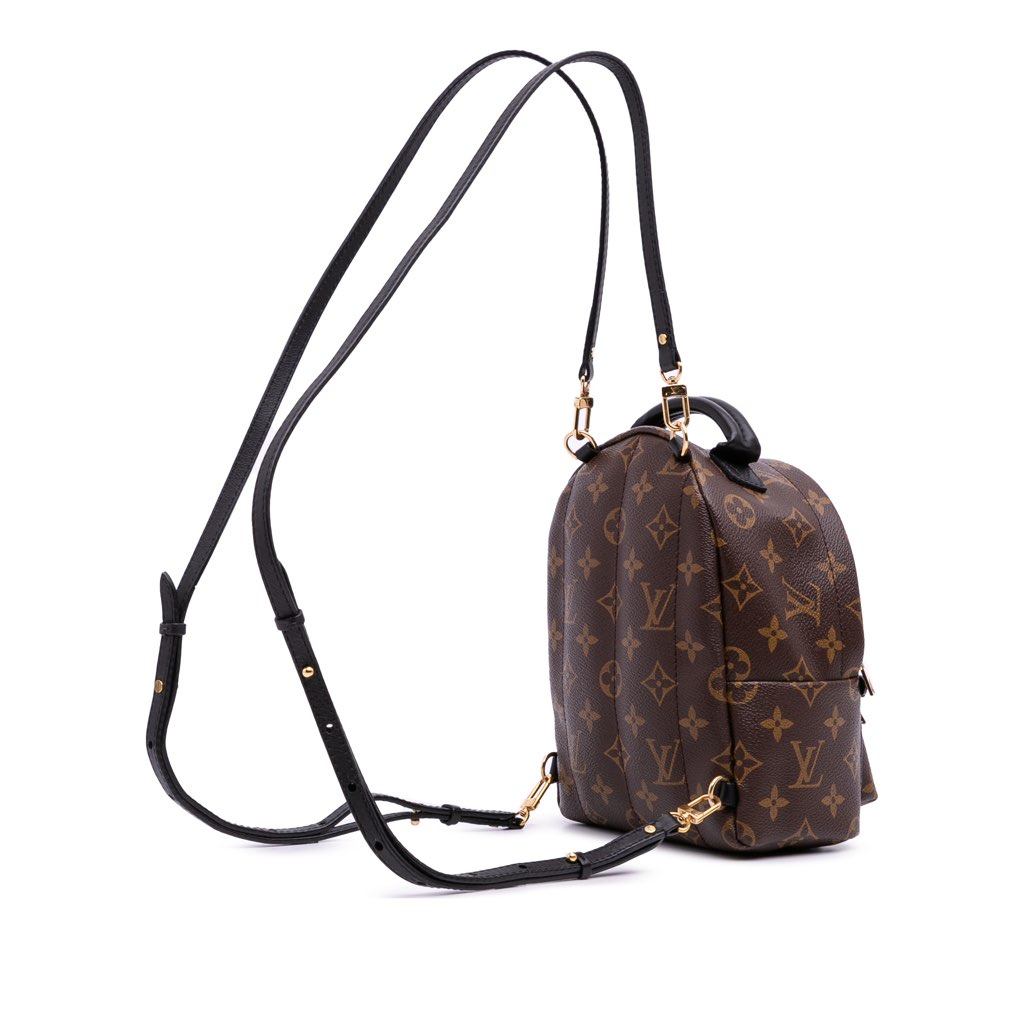 Louis Vuitton Monogram Mini Palm Springs - 2