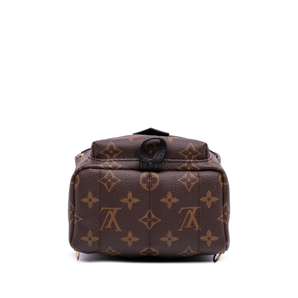 Louis Vuitton Monogram Mini Palm Springs - 3