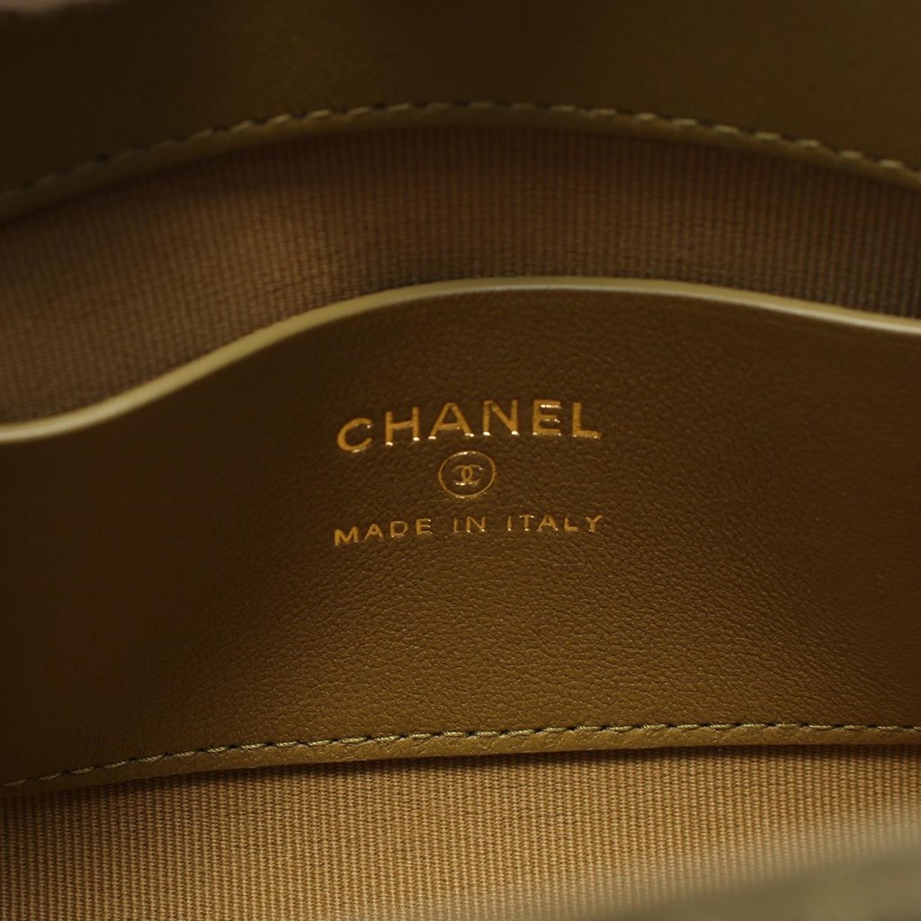 Chanel Quilted Lambskin Leo Shoulder Bag - 4