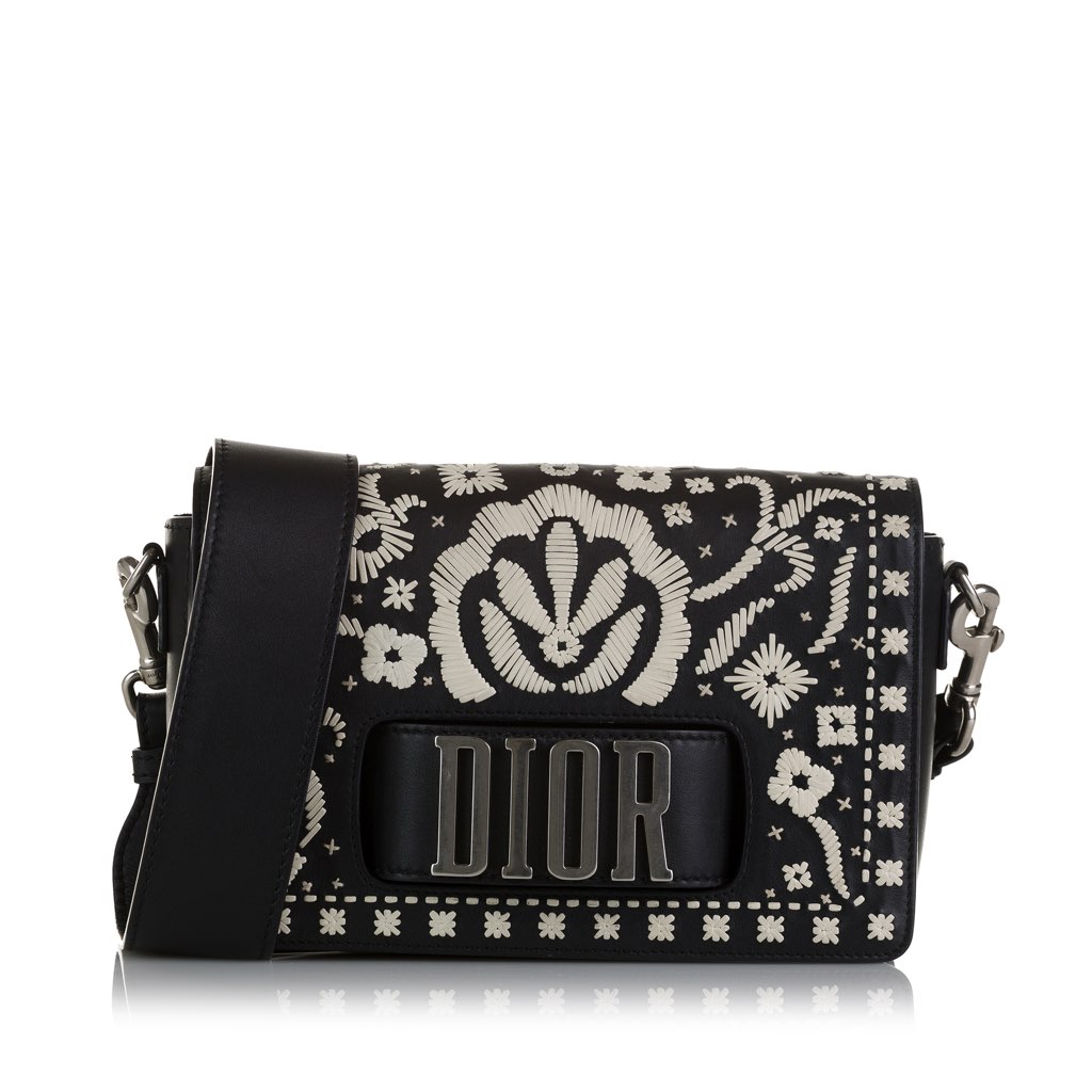 Dior Medium Embroidered Dio(r)evolution Flap