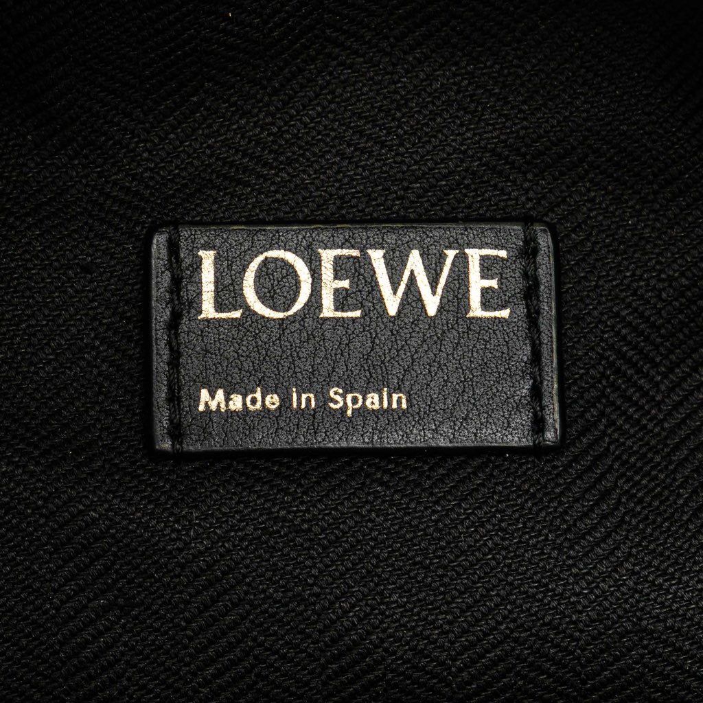Loewe Small Anagram Canvas Cubi Bag - 5