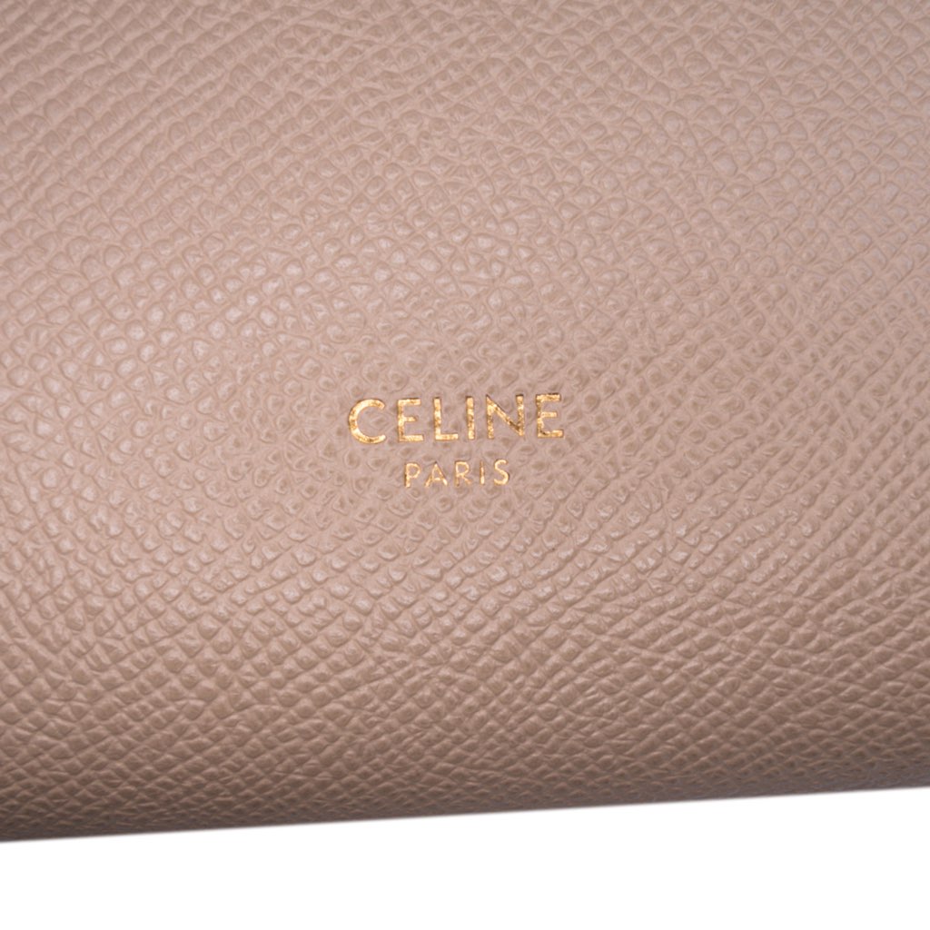 Celine Micro Grained Calfskin Belt Bag - 5