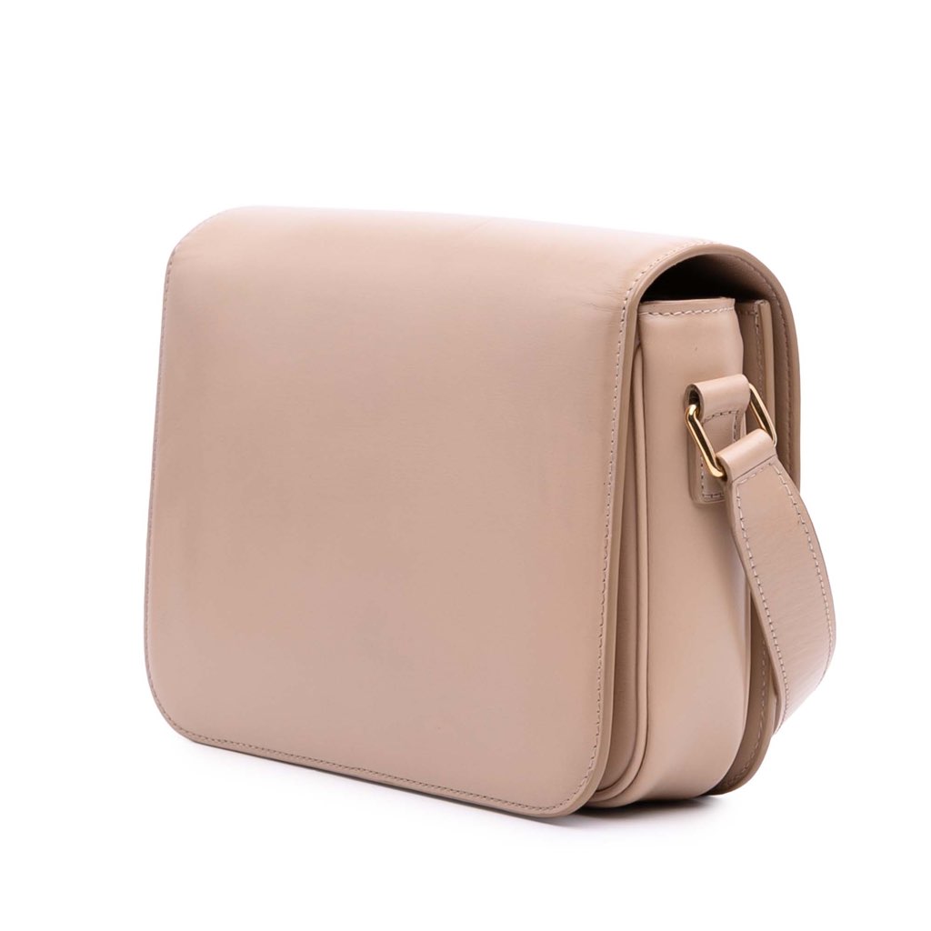 Celine Classique Shiny Calfskin Triomphe Crossbody - 2