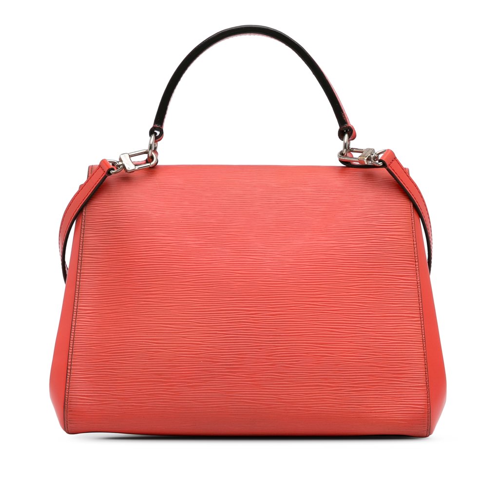Louis Vuitton Epi Cluny BB - 3