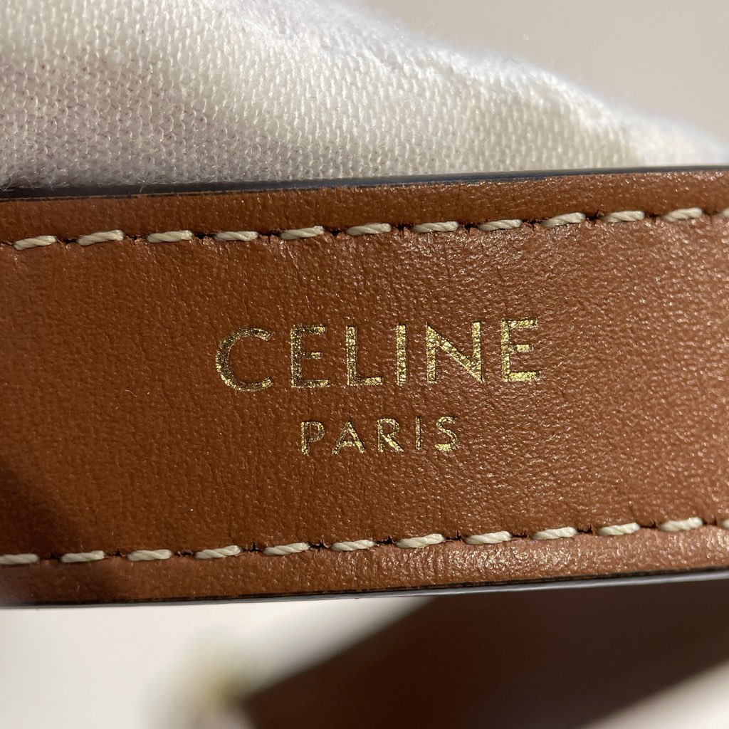 Celine Triomphe Coated Canvas Ava Shoulder Bag - 5