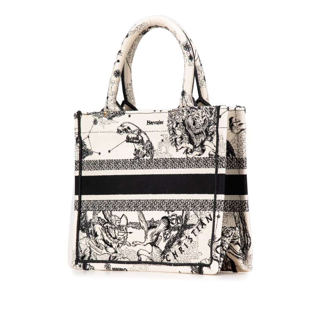 Dior Small Canvas Embroidered Zodiac Toile De Jouy Book Tote - 2