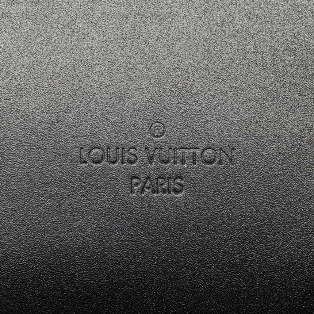 Louis Vuitton Damier Ebene Santa Monica - 5