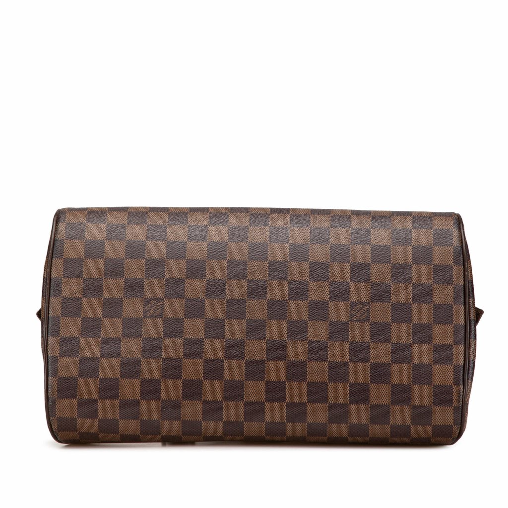 Louis Vuitton Damier Ebene Ribera MM - 3