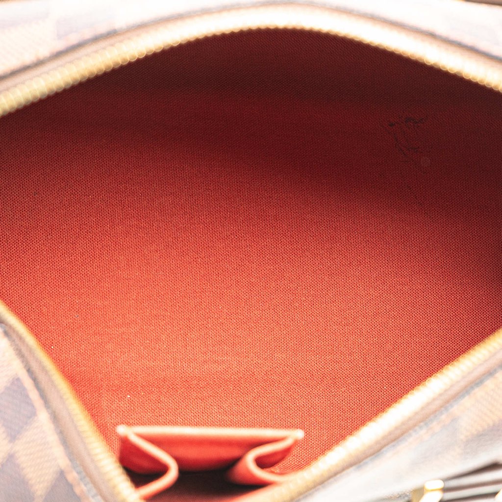 Louis Vuitton Damier Ebene Ribera MM - 4