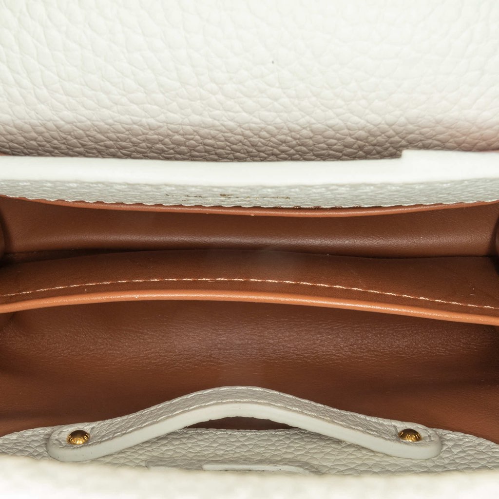 Louis Vuitton Taurillon Gelato Mini Capucines - 5