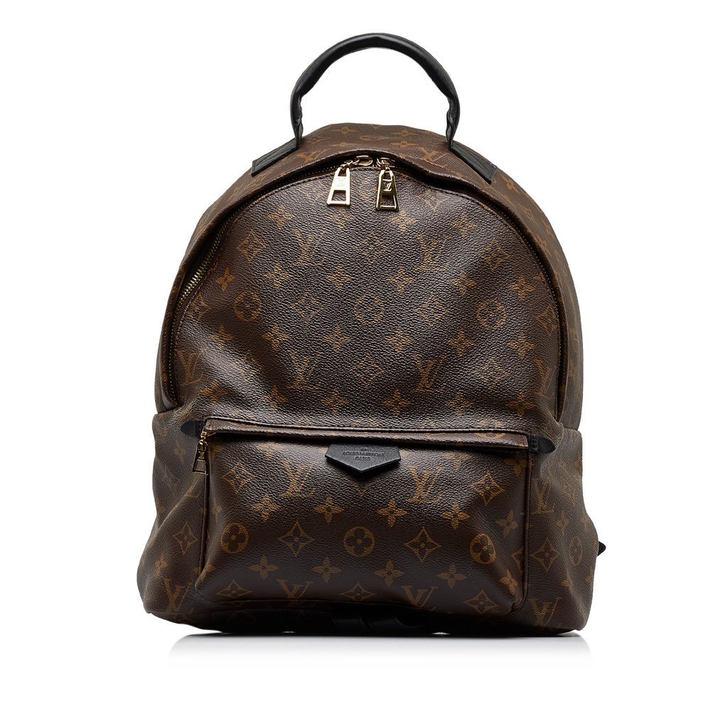 Louis Vuitton Monogram Palm Springs MM