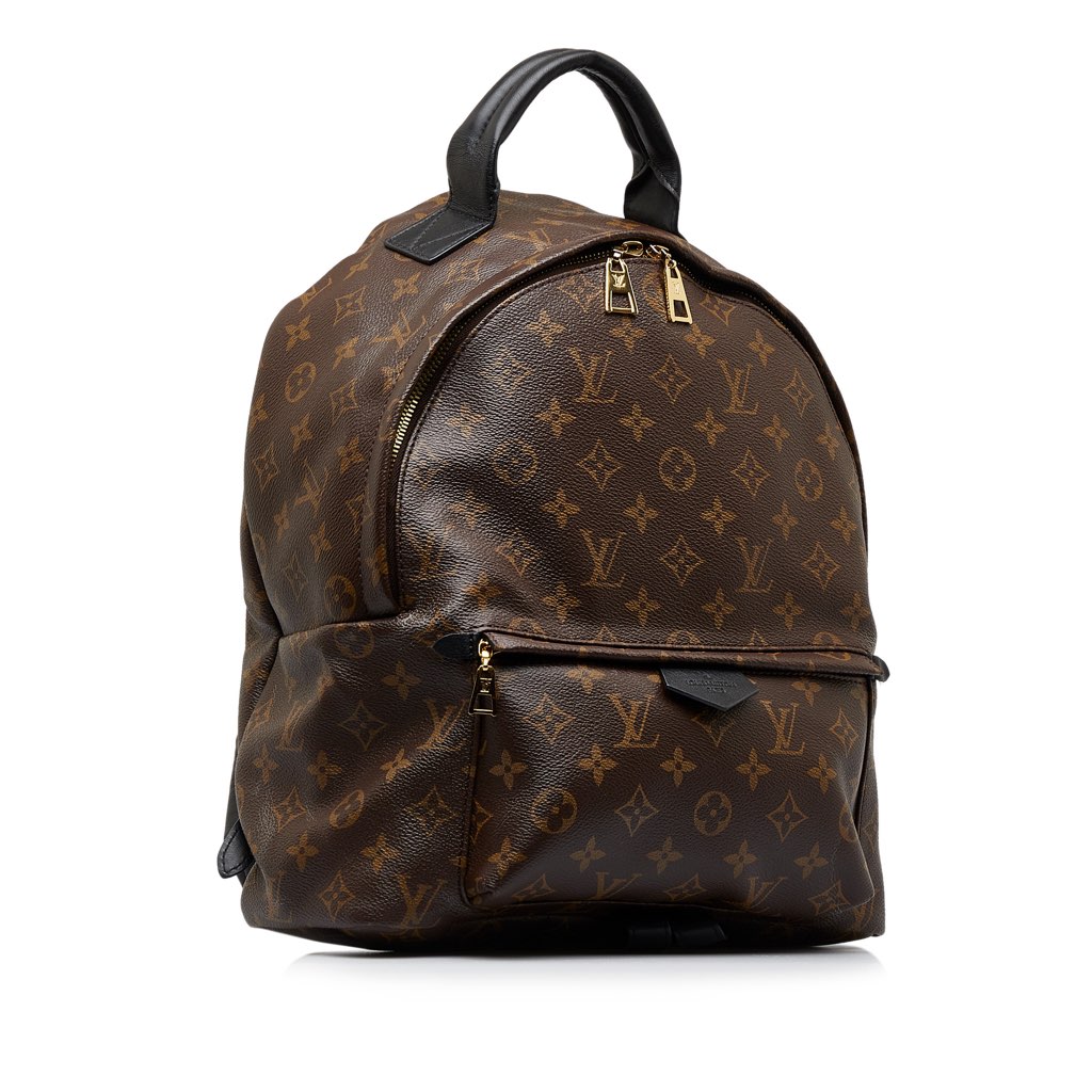 Louis Vuitton Monogram Palm Springs MM - 2