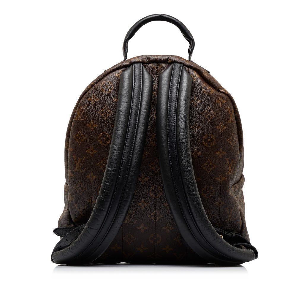 Louis Vuitton Monogram Palm Springs MM - 3
