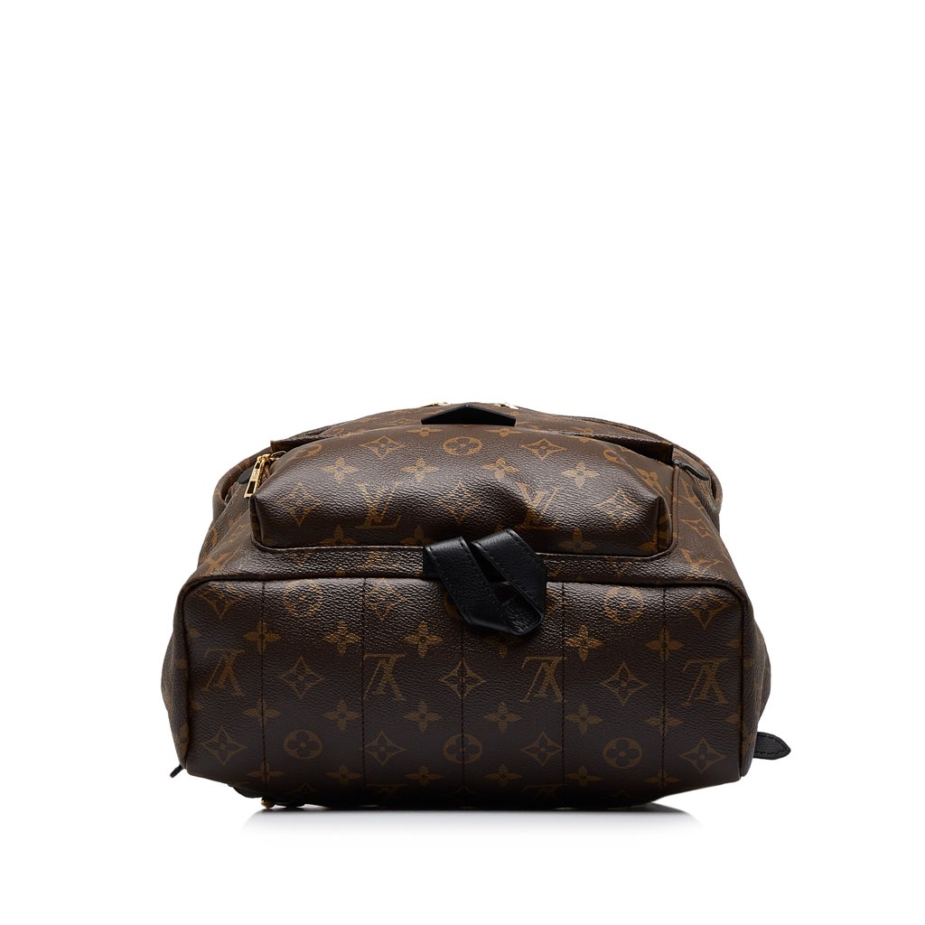 Louis Vuitton Monogram Palm Springs MM - 4