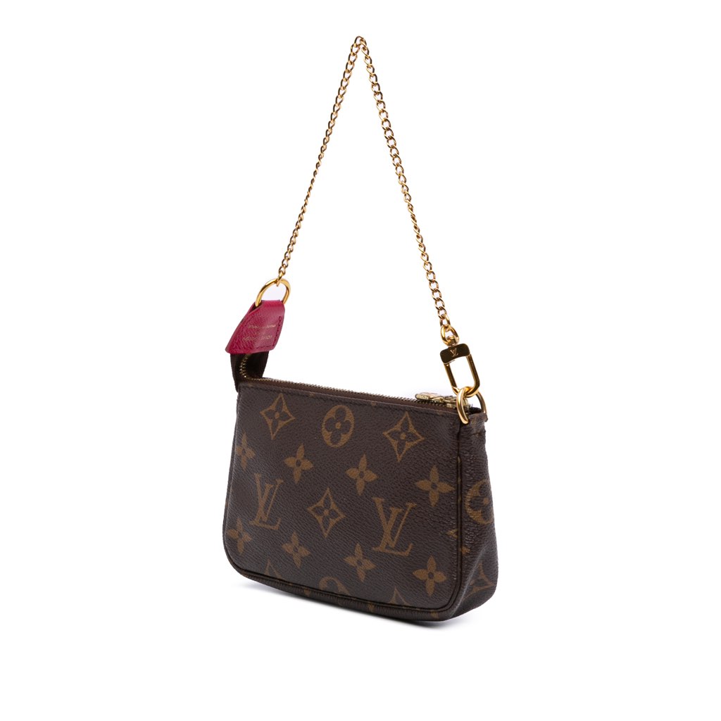 Louis Vuitton Monogram Giraffe Christmas Mini Pochette Accessoires - Back view