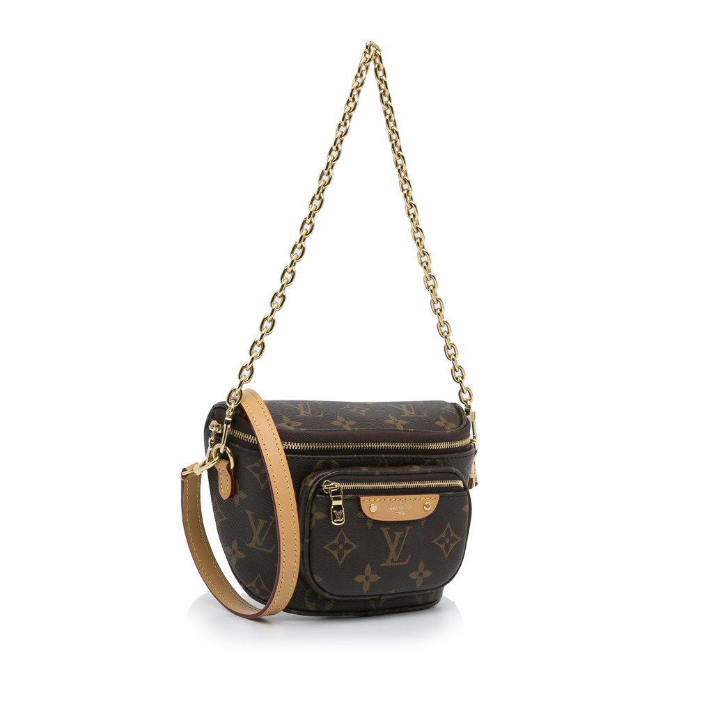 Louis Vuitton Monogram Mini Bumbag - 2