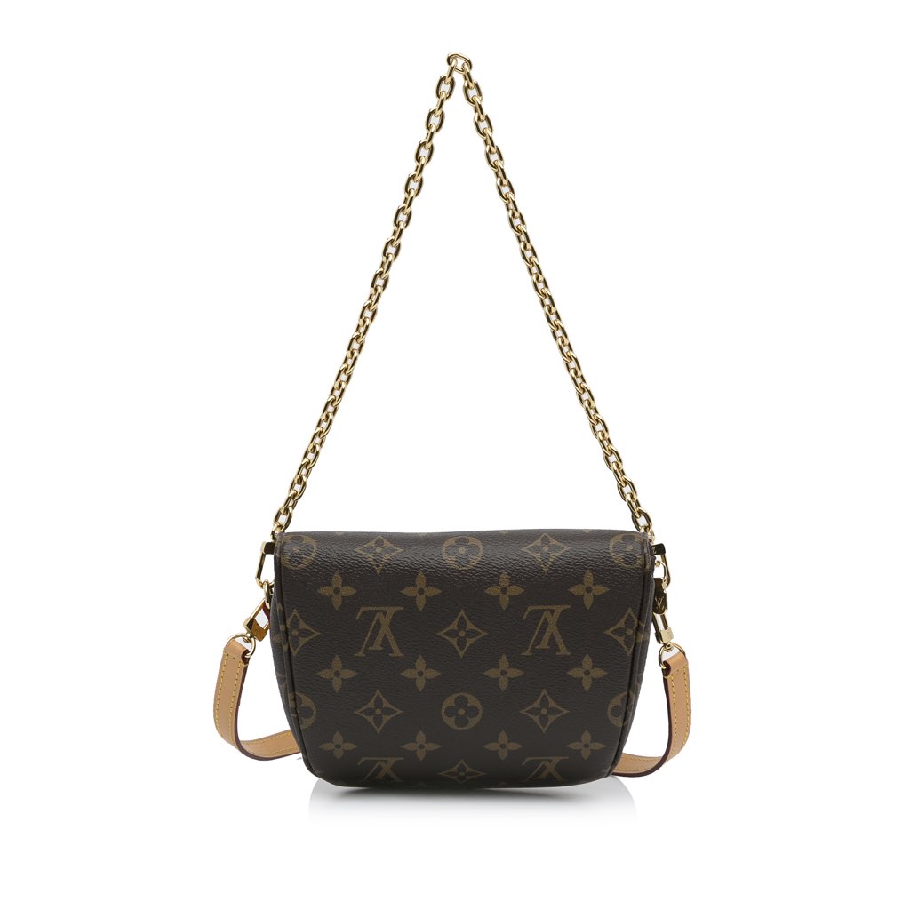 Louis Vuitton Monogram Mini Bumbag - 4