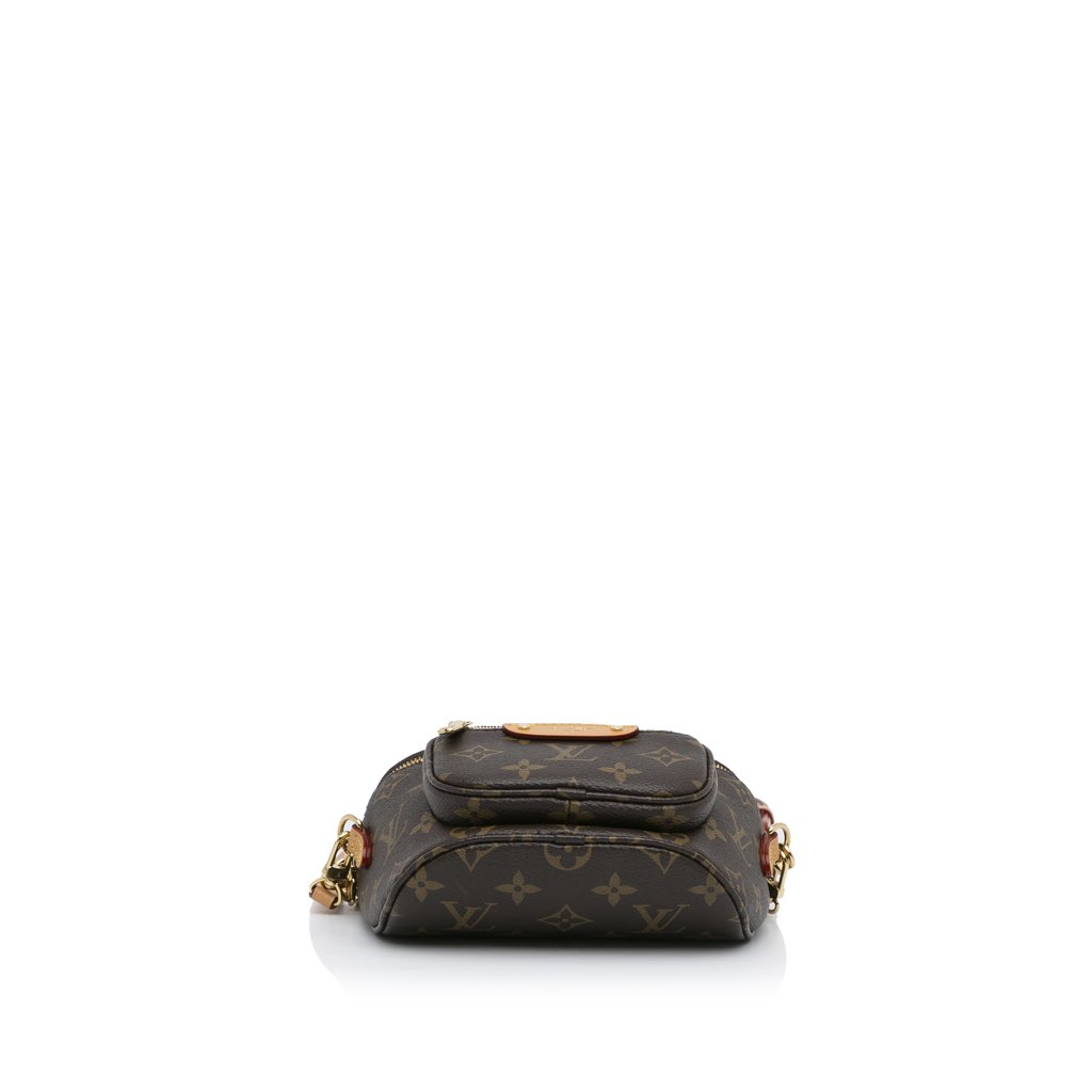 Louis Vuitton Monogram Mini Bumbag - 5